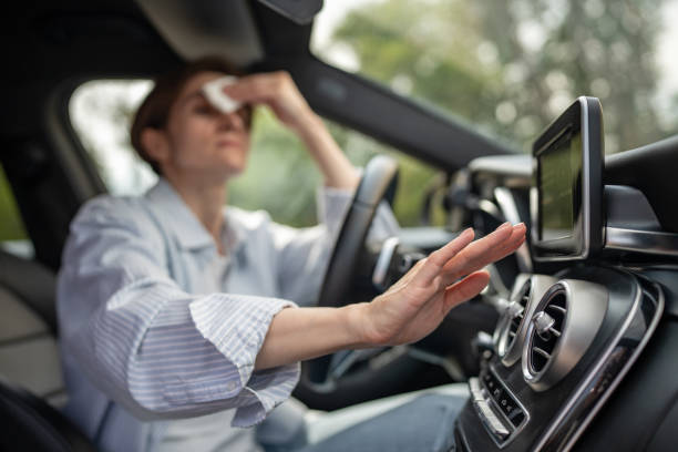 Best Central Air Repair  in Holland, MI