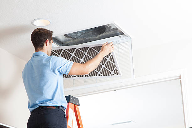Best HVAC Companies Near Me  in Holland, MI